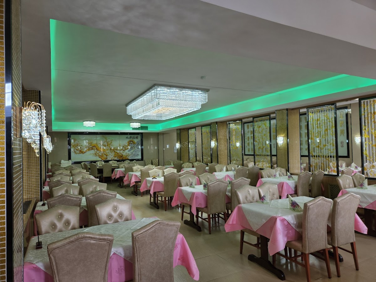 China Star Cuisine - All You Can Eat & Drink